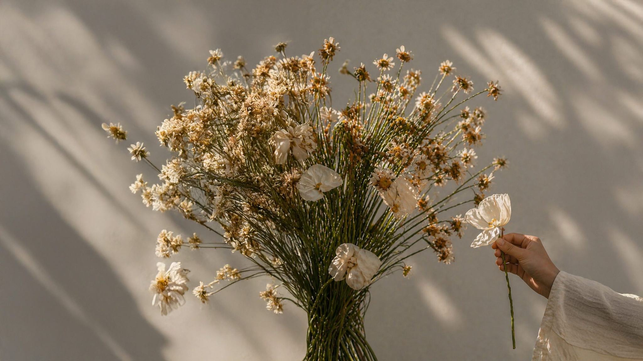 Mão a segurar um ramo de flores secas, imagem da campanha da Fiore