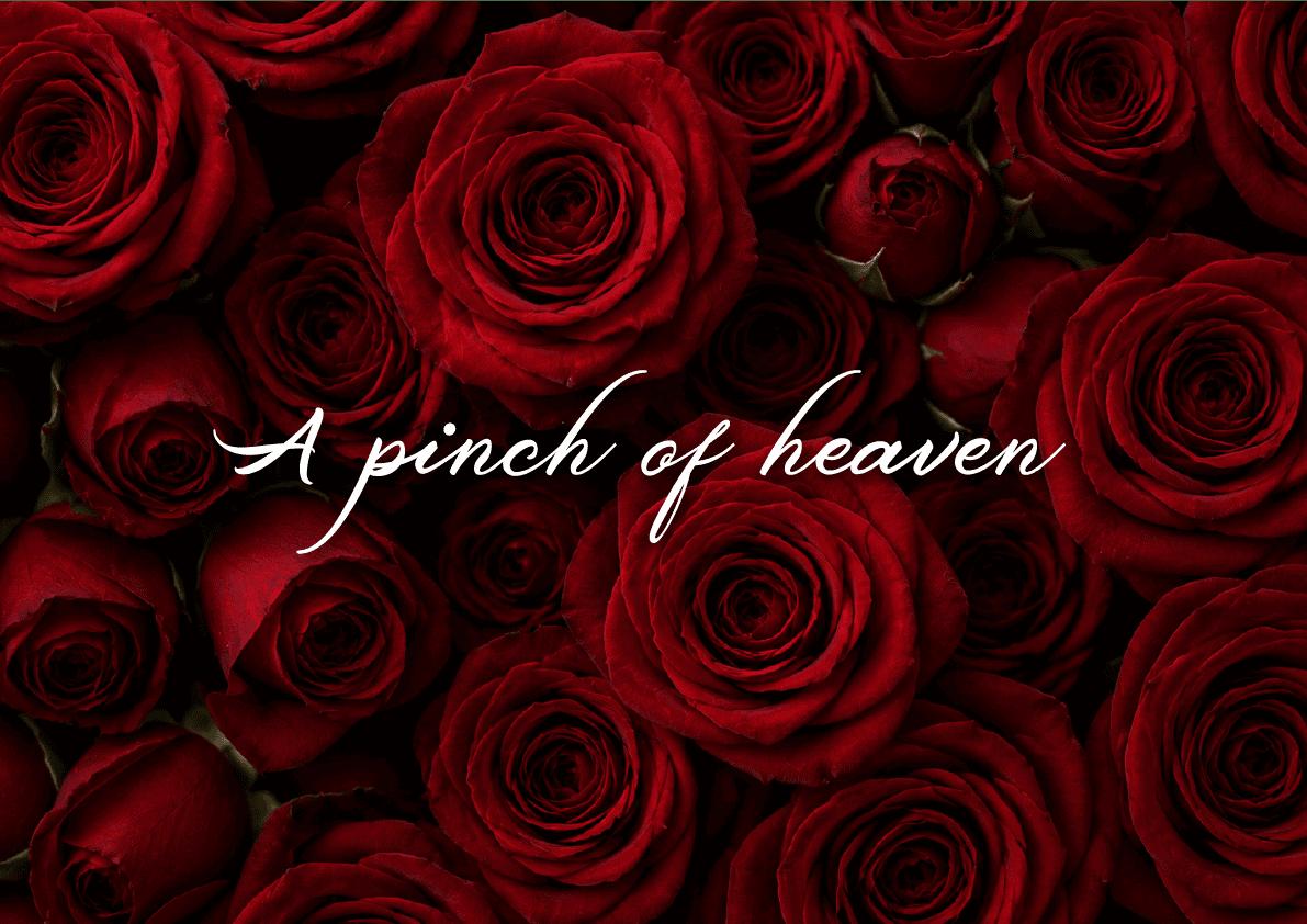 Frase A pinch of heaven em letra manuscrita sobre rosas vermelhas